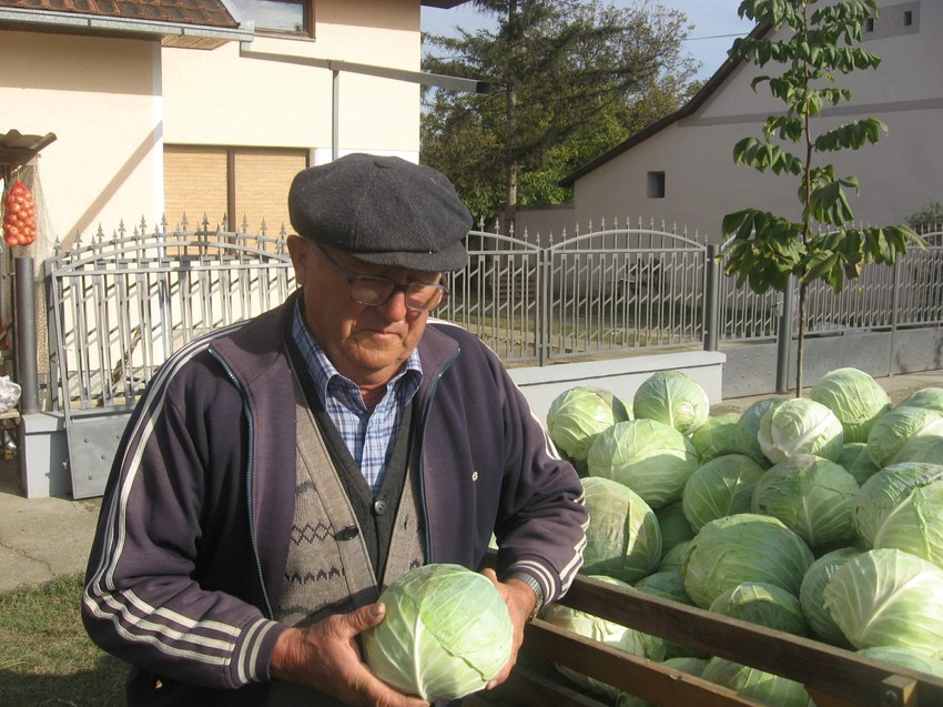 Retka i cenjena sorta povrća