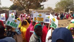 FG graduates 400 N-power beneficiaries in North-East