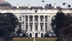 Ostatni dołek Trumpa. Odchodzący prezydent dał ekstremistycznym grupom megafon