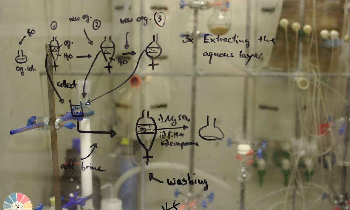 Quiz dla odważnych. Tylko kujon jest w stanie zdobyć 10/10