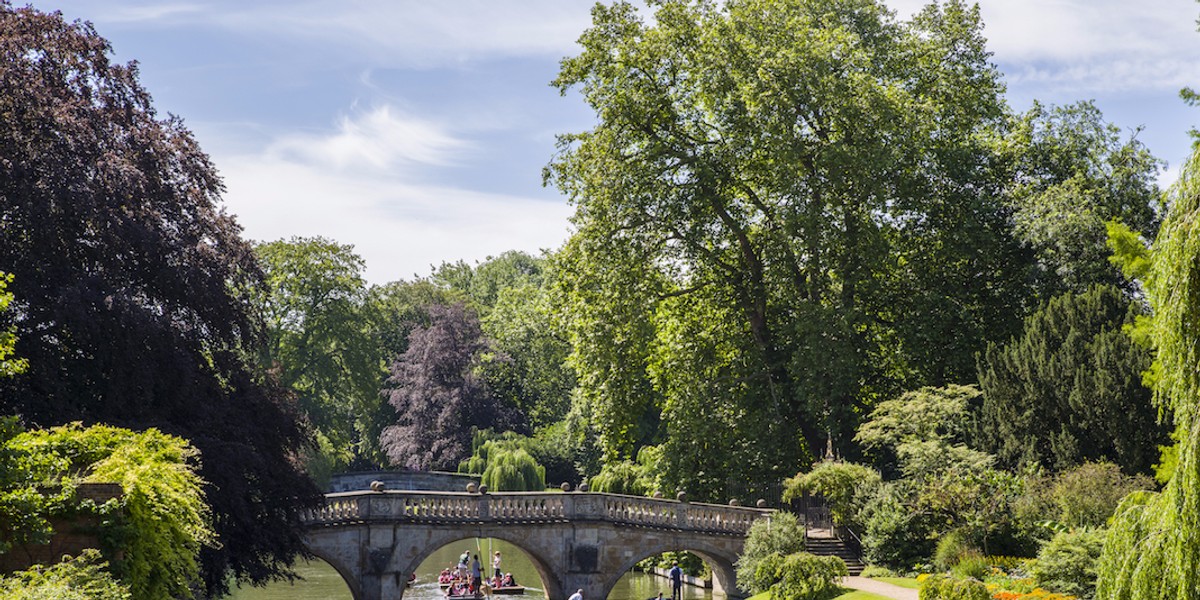 A Cambridge student who tried to burn a £20 note in front of homeless man has written a profuse apology on his return to college