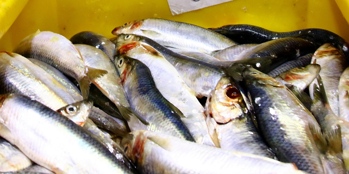 Przeterminowane ryby w znanych marketach w Polsce