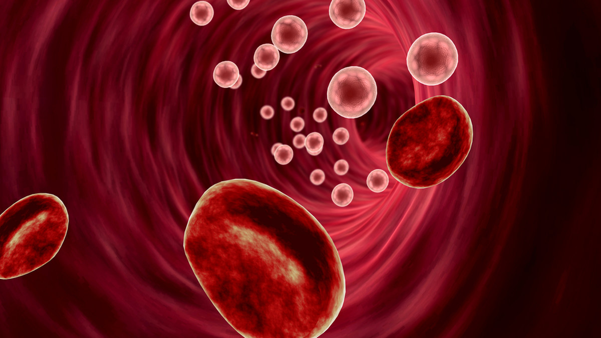 Leukocyty (krwinki białe): norma, podwyższone, niskie leukocyty