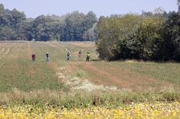 Tajemniczy obiekt przypominający drona wykryty na Mazowszu. Żandarmeria prowadzi dochodzenie