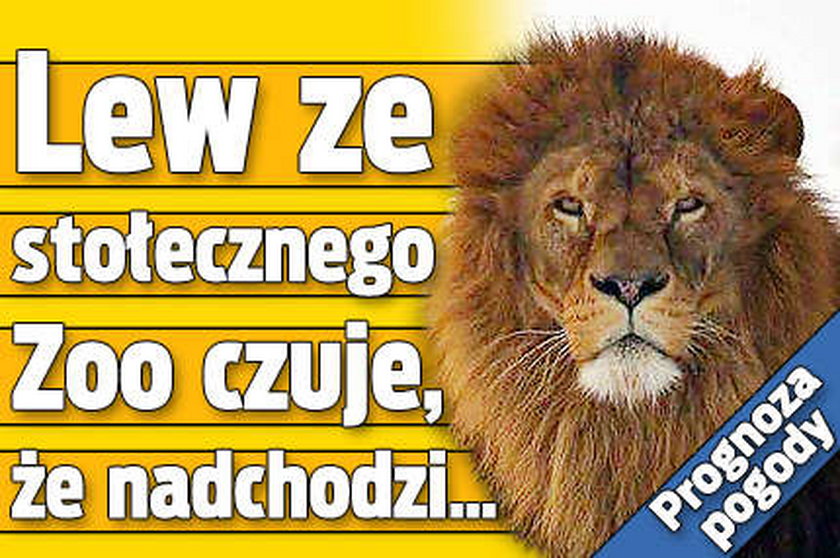 Oto prognoza pogody. Pomału idzie...