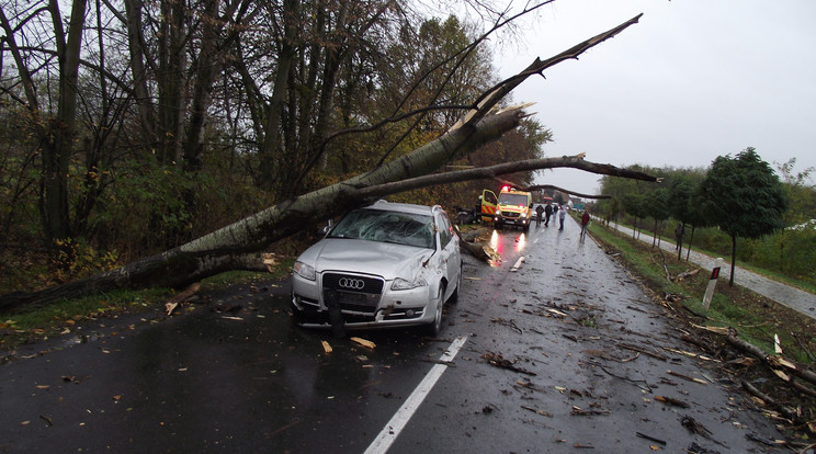 Az Audira menet közben hajított 
egy súlyos fát a vihar. A sofőr elkapta a kormányt, hogy elkerülje az ütközést, de hiába volt a manőver