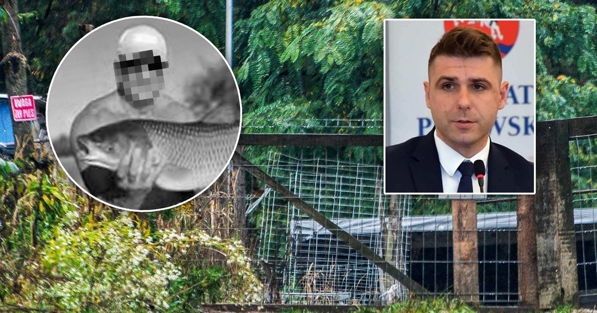 Pana Marcina rozszarpały psy. Przyjaciel ujawnia wstrząsające szczegóły