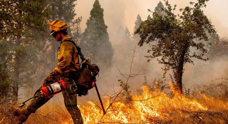 Firefighter Davis Sommer lights a backfire to burn off vegetation while battling the Mosquito Fire in the Volcanoville community of El Dorado County, Calif., on Friday, Sept. 9, 2022.