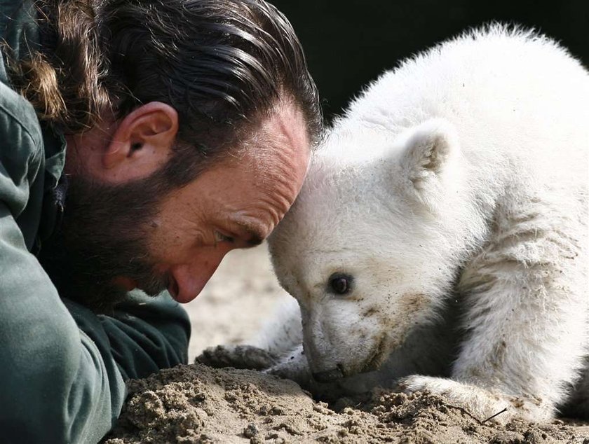 Knut został otruty?