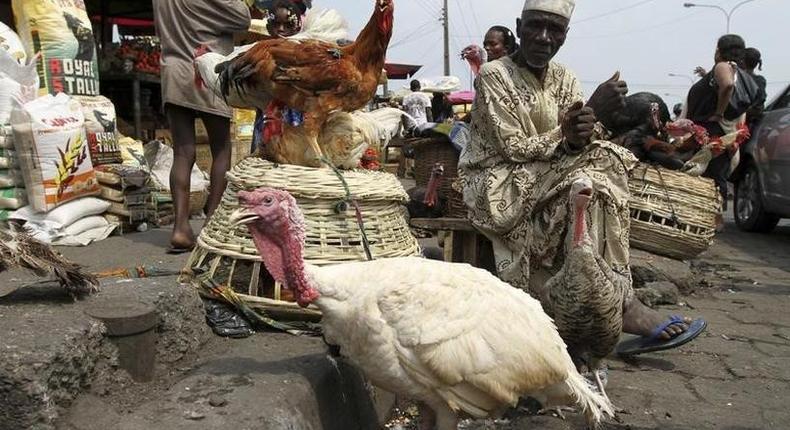 Nigerians lament increase in price of chicken.