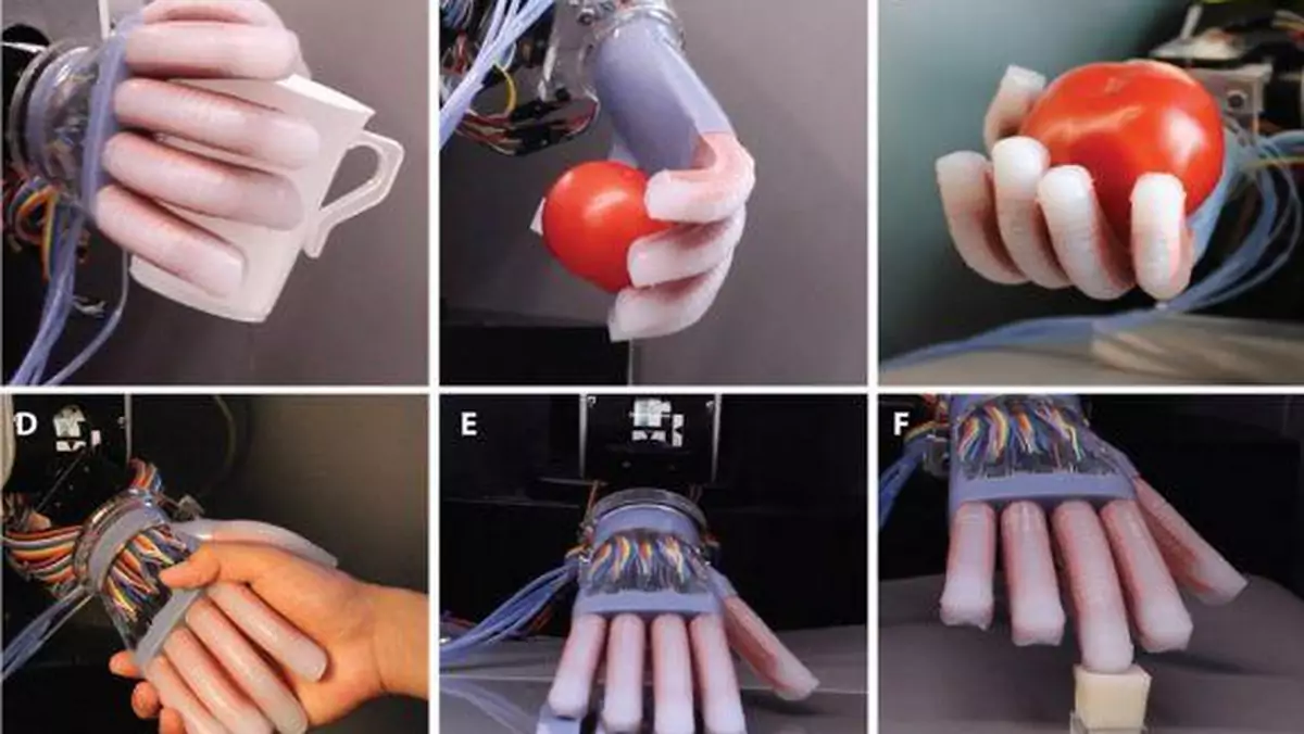Oto robot o najczulszych dłoniach