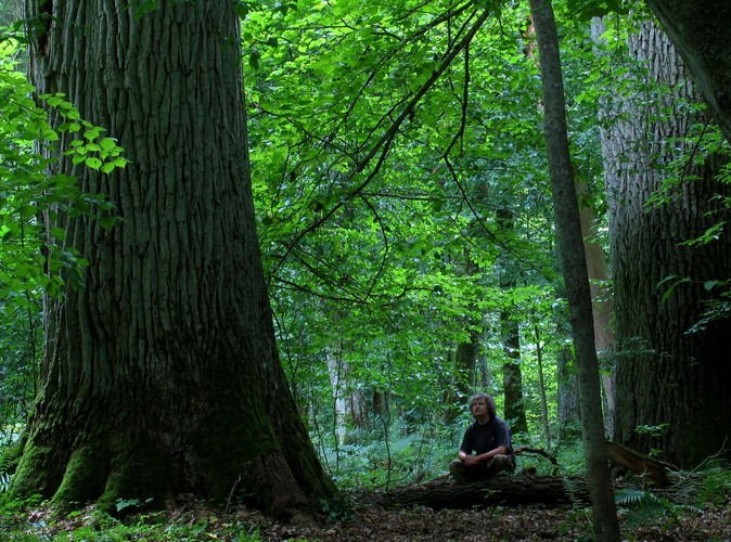 Uroki Puszczy Białowieskiej © www.tydecydujesz.org Fot. Janusz Korbel