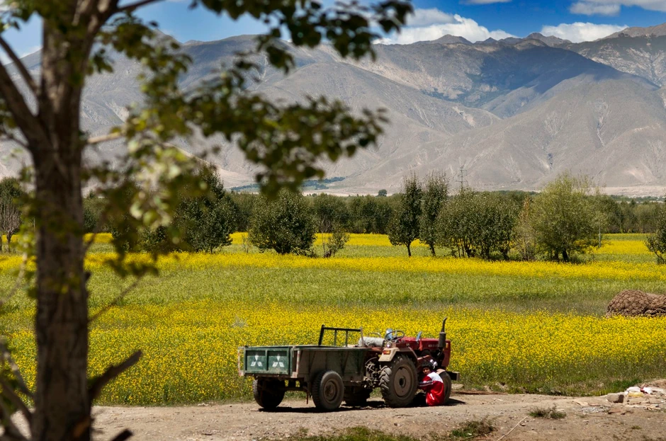 Polja doline reke Jarlung Canpo, Tibet