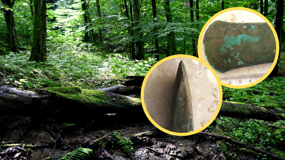 Zobaczył ją w lesie na Lubelszczyźnie. Przedmiot ma 6 tys. lat
