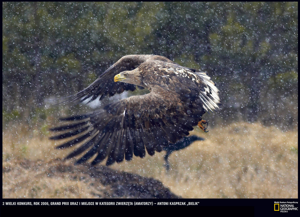 The best of Wielki Konkurs Fotograficzny National Geographic