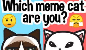 Which meme cat are you?