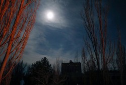 Rosjanie napromieniowani w Czerwonym Lesie w Czarnobylu? "Samobójstwo"