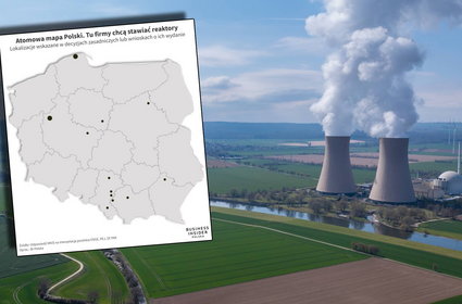 Energia atomowa dla Polski. Tu spółki chcą stawiać reaktory [MAPA]