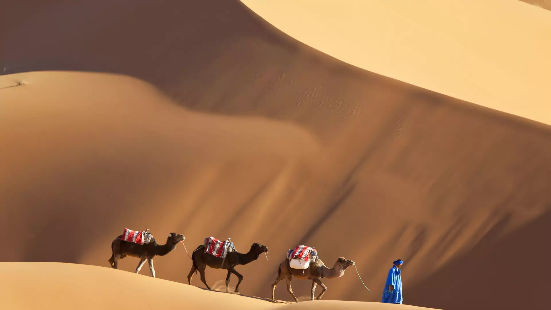 Wakacje w Maroku. Wycieczka na pustynie, trekking czy wspinaczka?