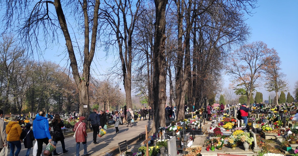 Słońce, deszcz czy śnieg? Jaka pogoda będzie na Wszystkich Świętych? [PROGNOZA DŁUGOTERMINOWA]