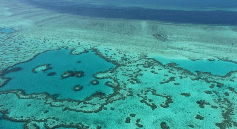 The mine has also been slammed by environmentalists who say it will hurt the Great Barrier Reef, a World Heritage-listed biodiverse site stretching along Australia's northeastern coast, which is already threatened by climate change.