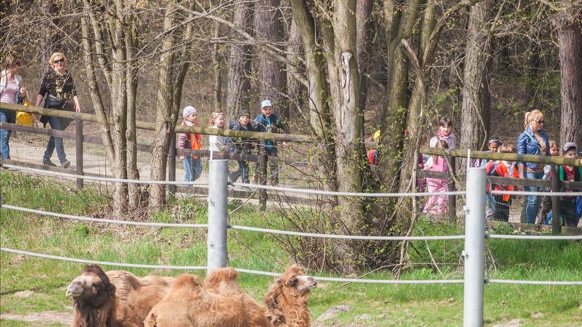 Rekordowa liczba partnerów zgłosiła się do tegorocznej akcji "Poznań za pół ceny". Weekend zniżek już 27-28 kwietnia