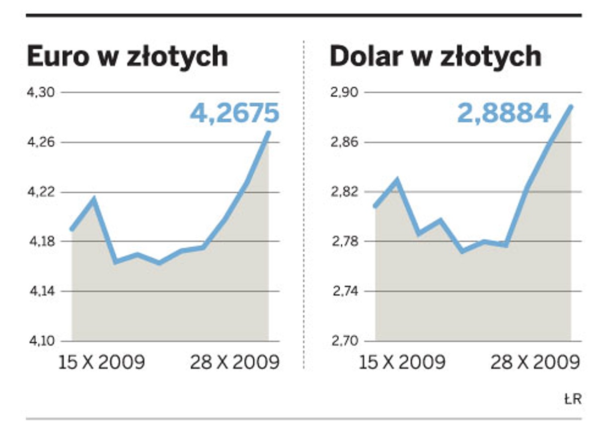 Euro i Dolar w złotych