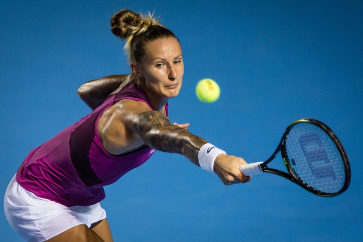 Polona Hercog