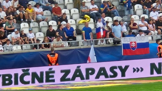 Exministra Karla Hirmana rozhnevali gramatické chyby počas futbalového zápasu. 