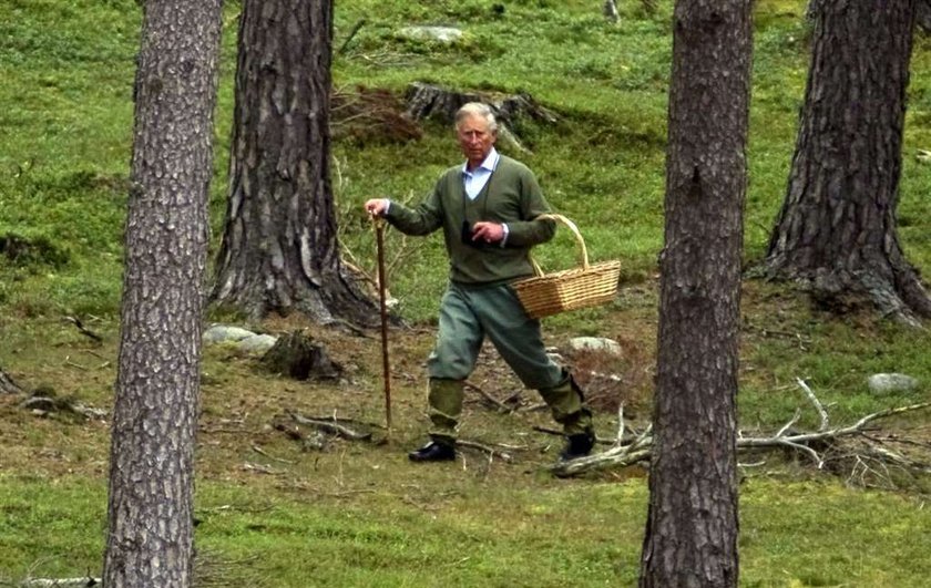 Książe Karol na grzybach