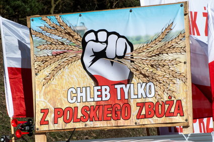 Agroholdingi oligarchów. Z kim mierzą się polscy rolnicy?