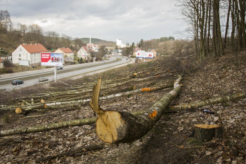 Zastali Polskę w ruinach, a zostawią w trocinach