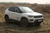 Jeep Compass 2.0 MTD Trailhawk