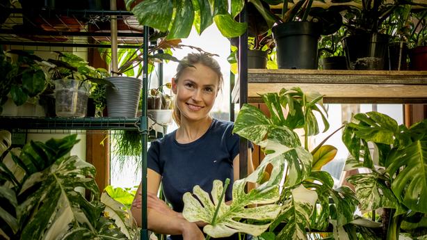Małgorzata Wierzbicka kolekcjonuje rośliny tropikalne