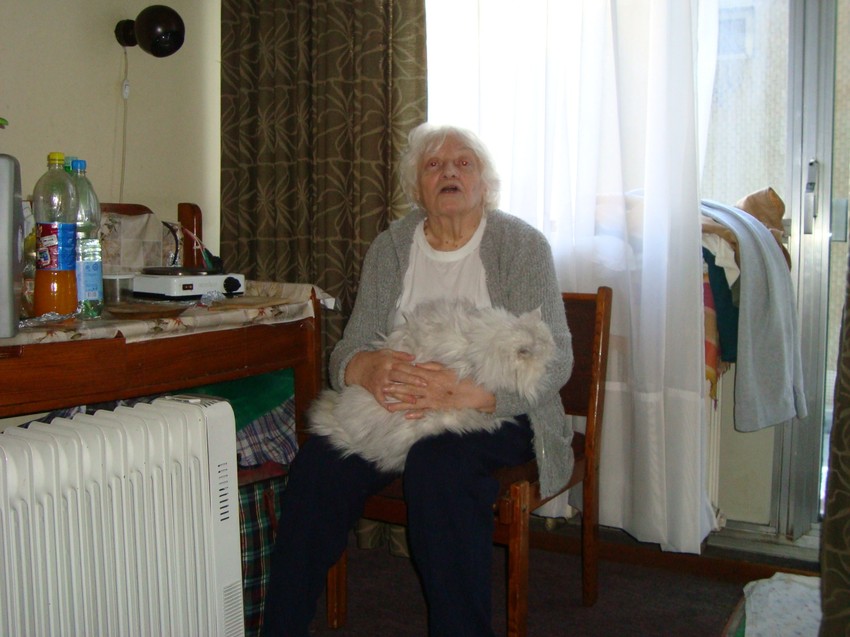 Uzajamno poverenje: Milki Goljevac u sobi hotela "Slavija" jedino društvo mačka