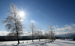 O czym należy pamiętać podczas ataków zimy? Ekspertka z RCB wyjaśnia