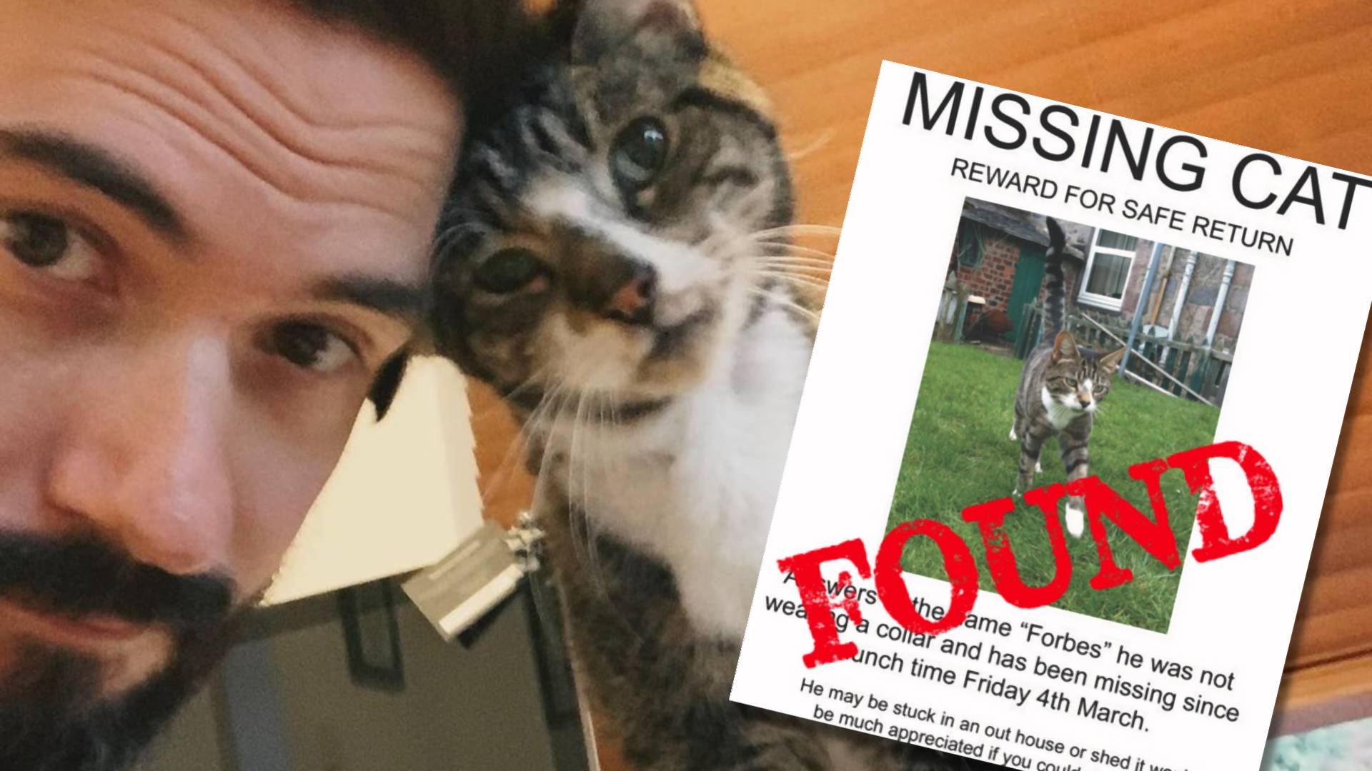 Odnalazł się kot, który zaginął dziesięć lat temu. Właściciele nie kryli wzruszenia
