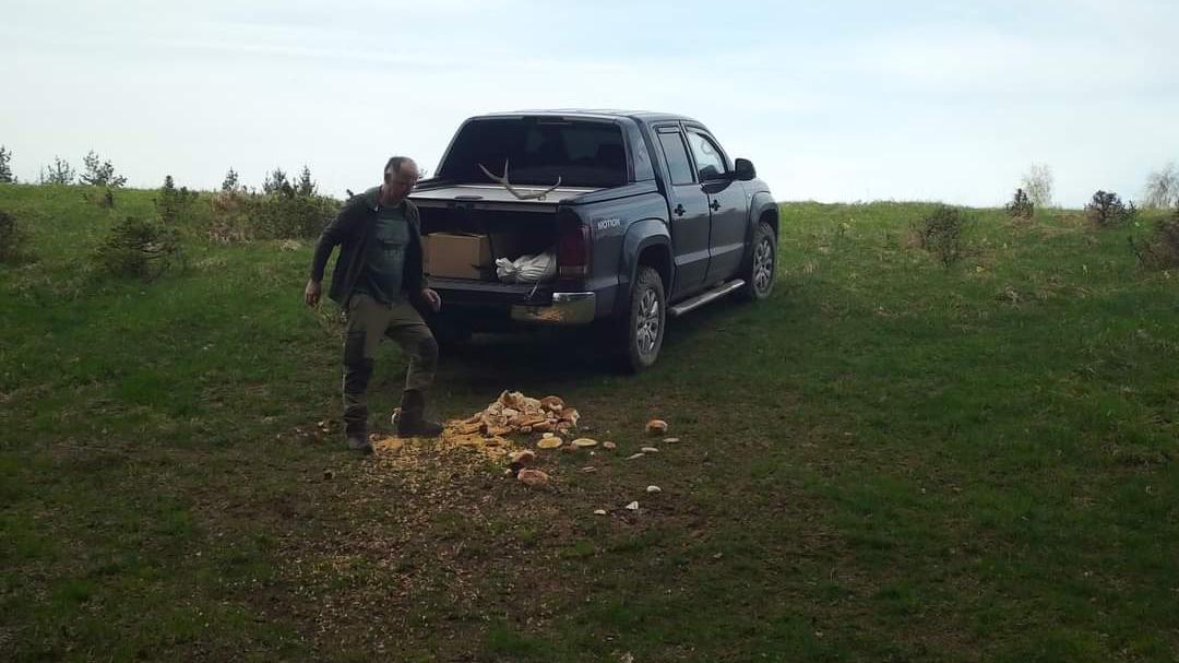 Zábery z fotopascí, na ktorých vidieť vnadiská a ich návštevy medveďmi