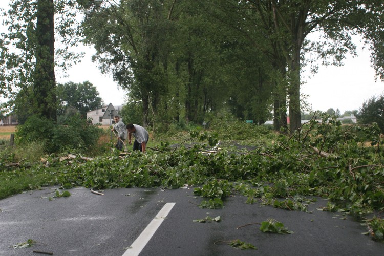 Okolice Nałęczowa na Lubelszczyźnie