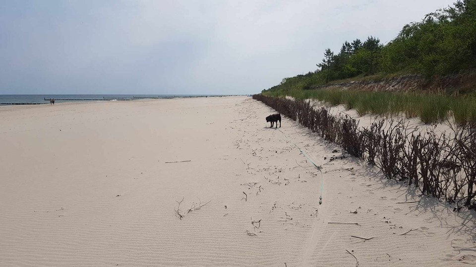 Psia plaża Kużnica