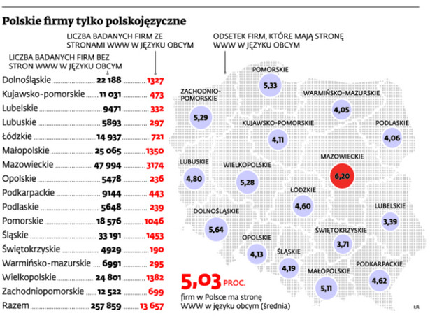 Polskie firmy tylko polskojęzyczne
