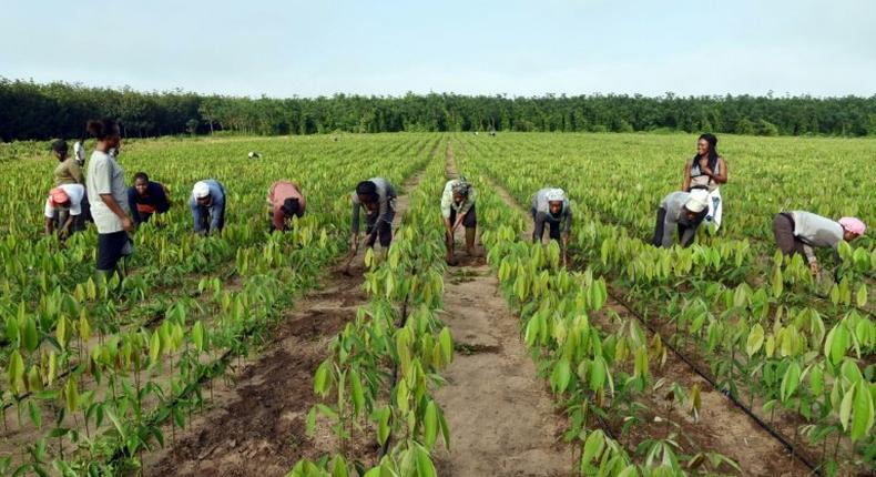 For 2016, the IMF expects Ivory Coast's real GDP to grow at around eight percent over the year