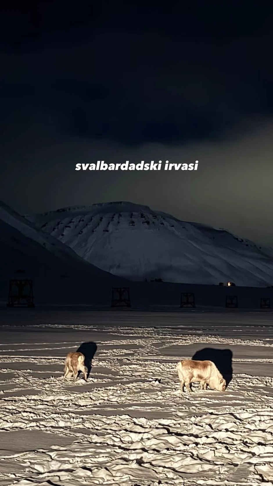 Ana Stanić u Norveškoj