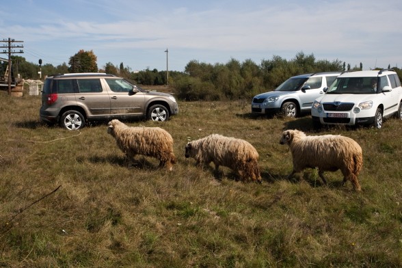 Nowa Skoda Yeti prosto z kraju wampirów!