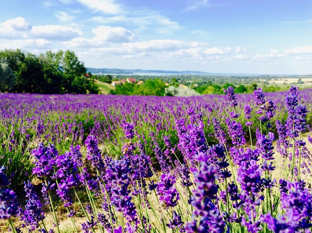 Egy hely, ahova idén MUSZÁJ ellátogatnod