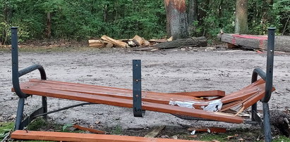 To zielona Łódź czy miasto wstydu? Cztery miesiące po huraganie, a połamana ławka wciąż stoi w parku. 