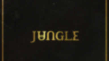 Jungle w ten weekend zagra dwa koncerty w Polsce