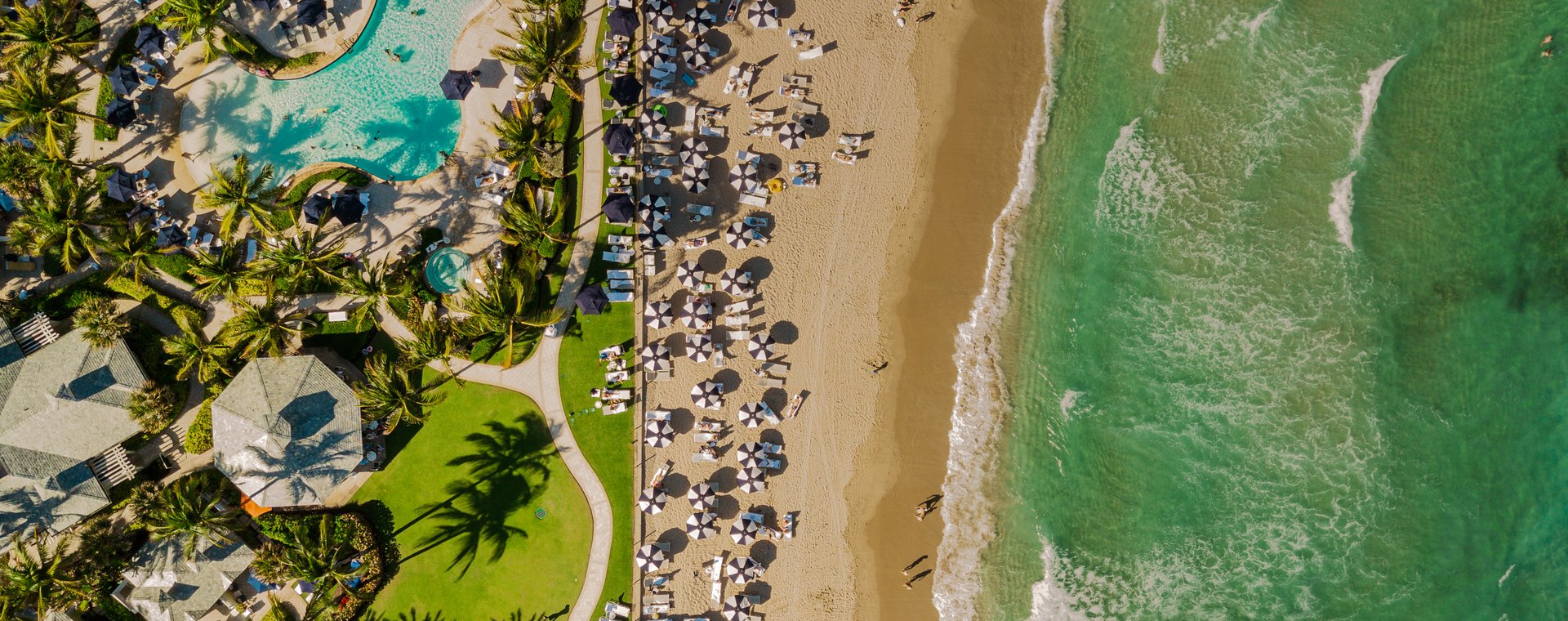 David przeprowadził się do West Palm Beach w 1987 r. i aż do niedawna był tam szczęśliwy