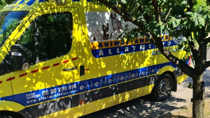 állatmentő, állat, kutya, gyros, Budapest