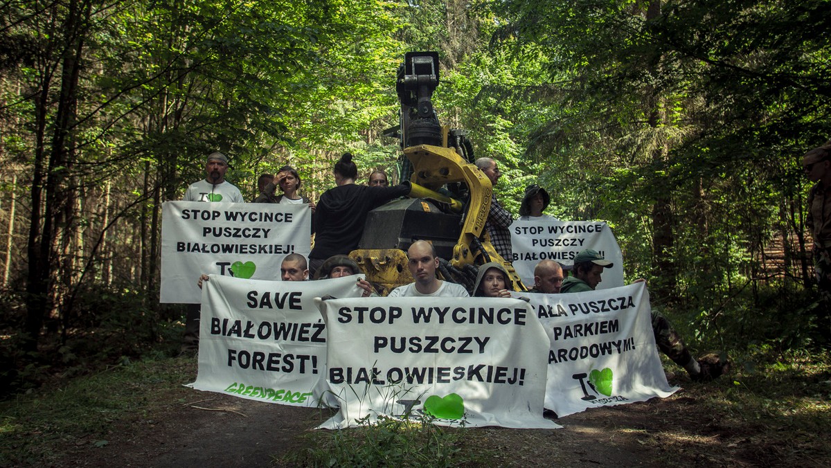 Ekolodzy zdecydowali się zakończyć swój trwający ponad dobę protest w Nadleśnictwie Browsk. Przypięci do maszyn aktywiści z Greenpeace Polska, Dzikiej Polski i Pracowni na rzecz Wszystkich Istot przetrwali w lesie całą noc. Dzisiaj około godziny 15.00 uznali, że ani w piątkowe popołudnie, ani w weekend maszyny nie wyjada do wycinki. W tej sytuacji blokowanie maszyn mija się z celem.